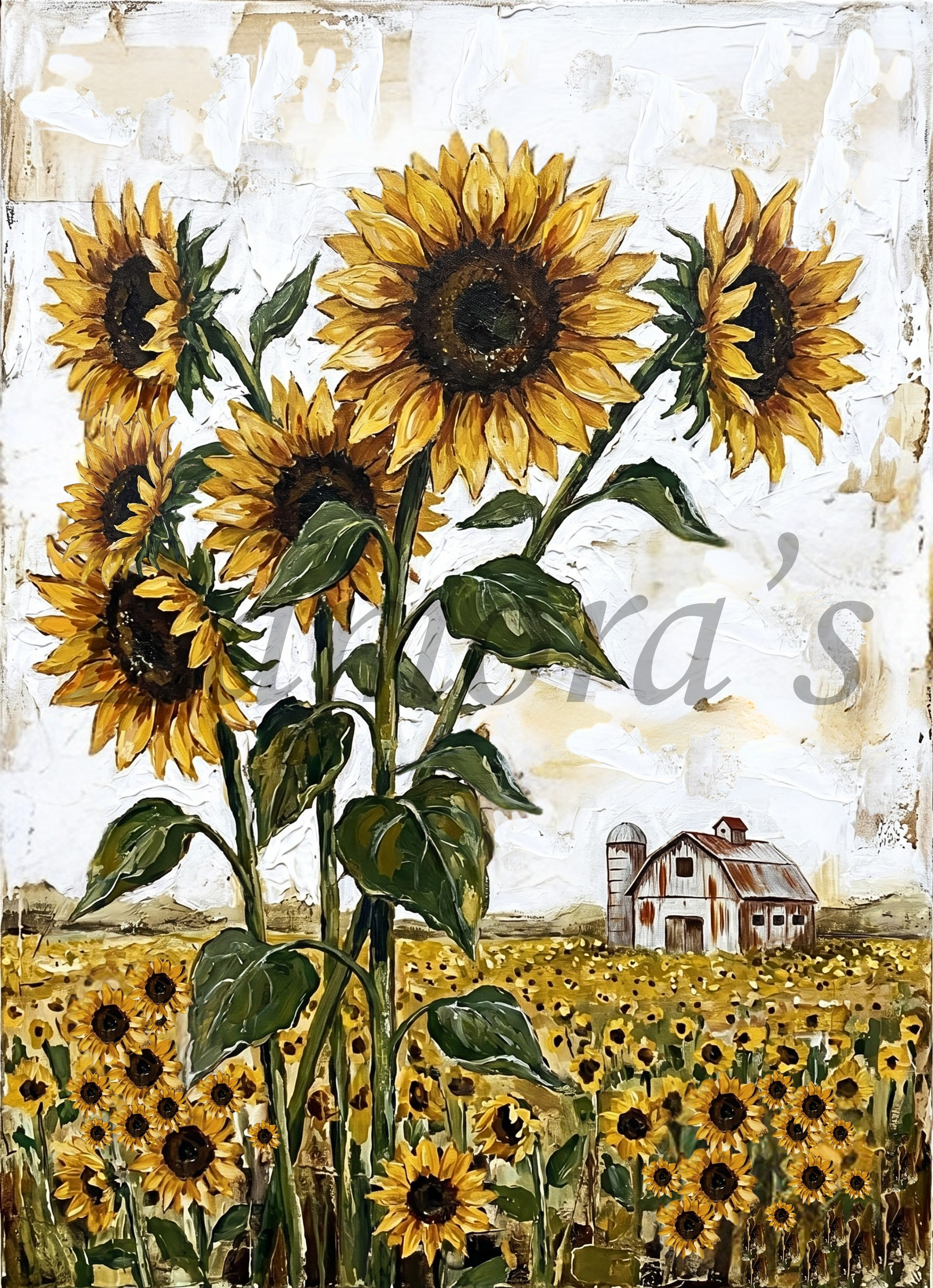 Sunflower Fields