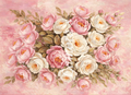 Tea Time Roses