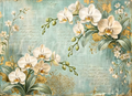 Gentle Orchids