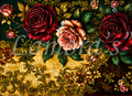 Velvet & Rose